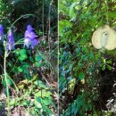 세상밖으로 이미지