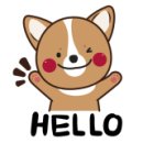 인제카튜닝 이미지