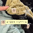 맑음복 스님바지 내돈내산 후기 | 2, 3겹 비교, 172cm 하비 체형 솔직 리뷰