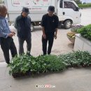 훈훈 농장 이미지