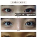아웃라인