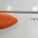 김호권의청년어부녹번역점