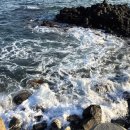 정자생아구찜 이미지