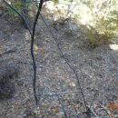 올레 쉼터 이미지