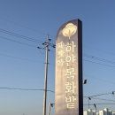 바닷가 하얀목화밭 | 바닷가하얀목화밭 목포가족펜션 오션뷰 301호 후기