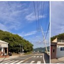 스테이매자미 이미지