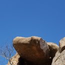 용의꼬리 이미지