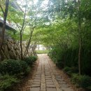 죽성 드림세트장 이미지