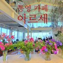 한강시민공원 백합나무길 화장실 앞 | 통영 오션뷰 예쁜정원 카페 아르세/백합과 수국이 예쁜 여름 정원 아르세 카페 내돈내산 후기