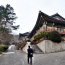 초록마을대봉센트럴점 | 계룡산 남쪽자락 사찰 무상사&amp;가볍게 걷기 좋은 종평지