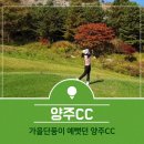 CU 창현햇살점 | 양주CC :: 가을골프 다녀왔어요, 그늘집 후기