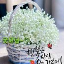 행복한하루 이미지