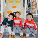 좋은열매어린이집 이미지