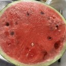 찐짜루 | 6월 일상 - 6월엔 실수로 많이 먹었어요..ㅠㅠ 약속들이 넘쳐난 나날들