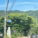장령산 가든 | 충북 단체숙소 옥천 장령산 자연휴양림 버드나무동 후기!(준비물)