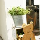 신사동-5 이미지