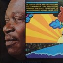 비비킹(B.B.KING) 이미지