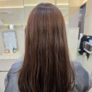[우장산 / 박승철헤어스투디오] 우장산역 근처 머리 잘하는 박승철헤어스투디오에서 클리닉 받은 후기