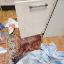 금오약품 이미지