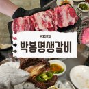 문성생고기집 | 대전 봉명동 맛집 고기집 박봉명생갈비 솔직후기