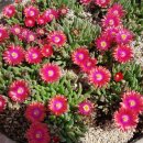 바다마루펜션 이미지