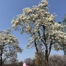 꽃사슴슈퍼 이미지