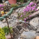 반월정성치과의원 이미지