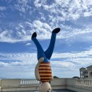 진영당구장 | 24.09.24-25 부산-진도 쏠비치(왕복 8시간)