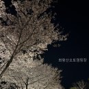 화왕산오토캠프장 | 화왕산오토캠핑장 선택 전 먼저 볼 핵심 정보 정리