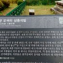 강원설악
