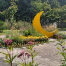 배다리생태공원 이미지