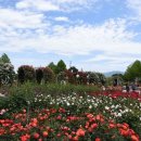 디딤돌펜션민박 이미지