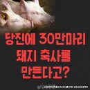 재현축산 이미지