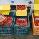 하우스농장 이미지