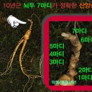 산양키우는 가 이미지