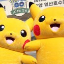 사파리마케팅