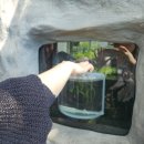 둔산중로-48 | [25.08.09~08.10 대전] 얼레벌레 애벌레