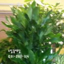 수림전국꽃배달