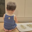 유아동브랜드 아프리콧스튜디오 돌아기옷 80 90 사이즈 여름 어린이집실내복 추천