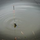 고령낚시 이미지