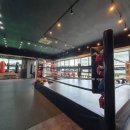 홍성Y복싱클럽 이미지