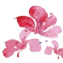 연희야 놀자 이미지