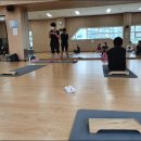 프롭테라피 이미지