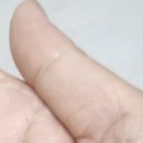 모기샤키~~~ 이미지