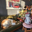 광탄체육공원 이미지