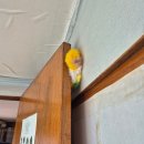 월오포레스트 | 청주 촌캉스 숙소 추천 &lt;월오포레스트&gt;｜가성비에 시골힐링 제대로!