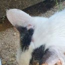 토마토소프트(주) 이미지