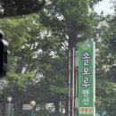 솔모루펜션 - 34946 | 펜션과 캠핑장이 같이 있는 태안 소원면 어은돌 솔모루펜션 내돈내산 후기