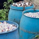 수천농장 이미지