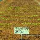 푸르미농장 이미지